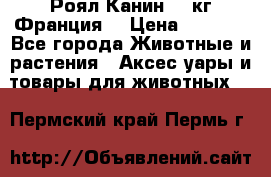  Роял Канин 20 кг Франция! › Цена ­ 3 520 - Все города Животные и растения » Аксесcуары и товары для животных   . Пермский край,Пермь г.